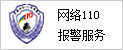 網(wǎng)絡(luò)110